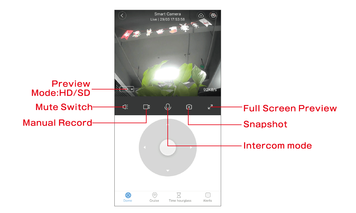 TF card