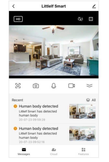 Detection Alarm Messages