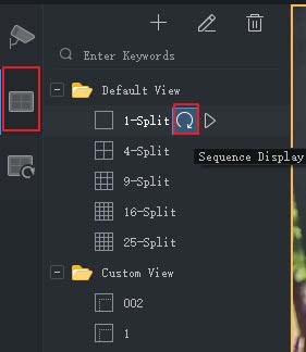 Sequence View