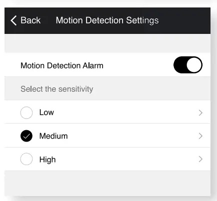 Motion Detection