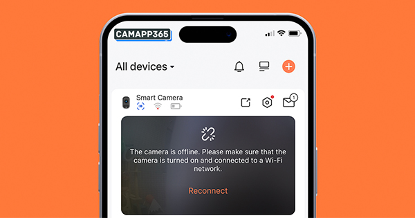 Dzees Camera Not Working Troubleshooting