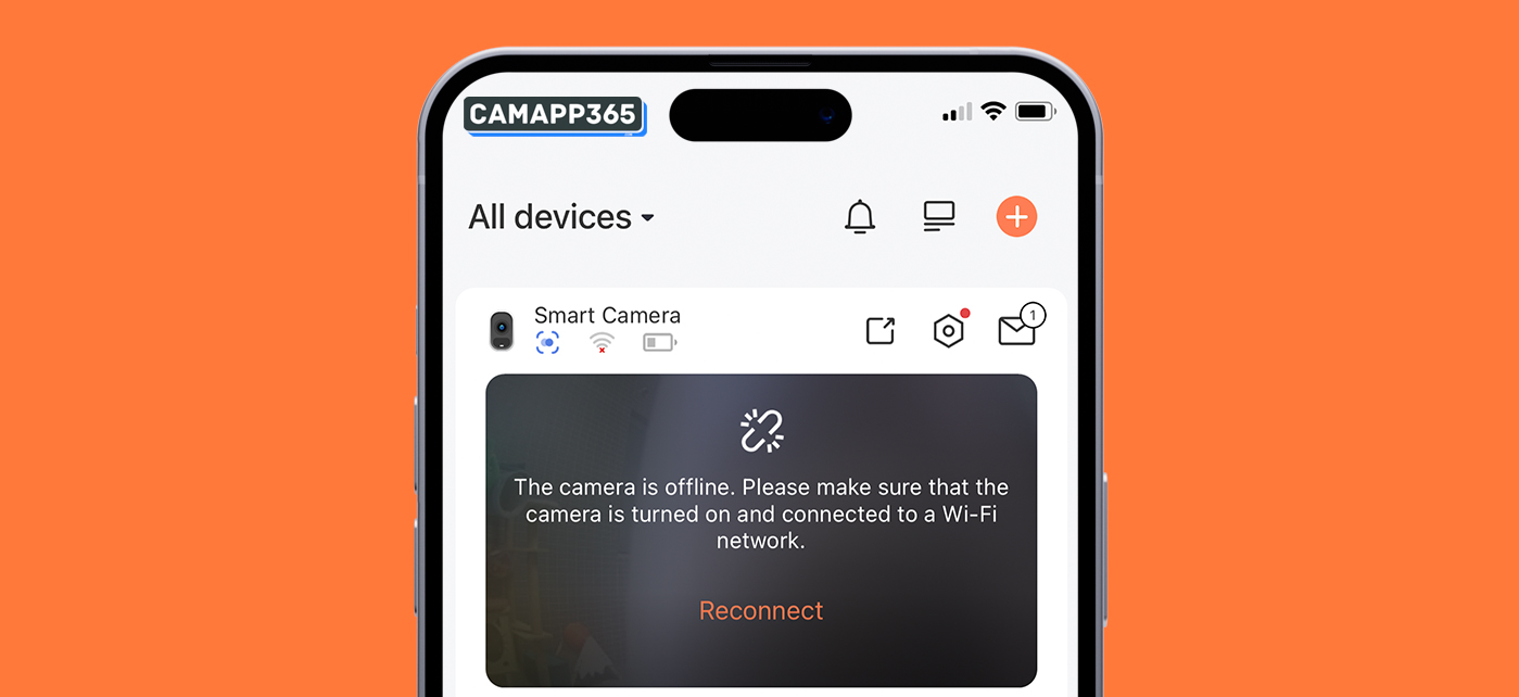 Why are Dzees cameras offline?