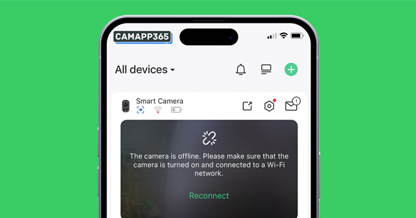 Why are VicoHome cameras offline?