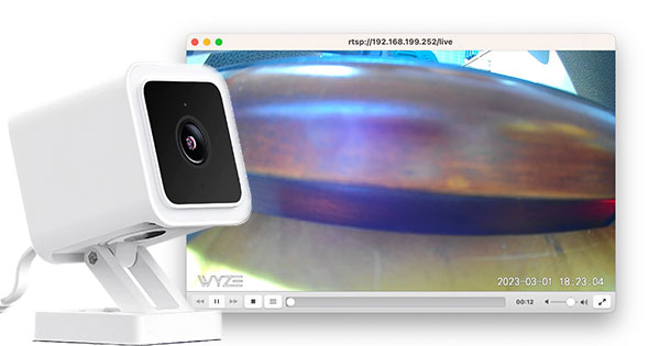 wyze for pc