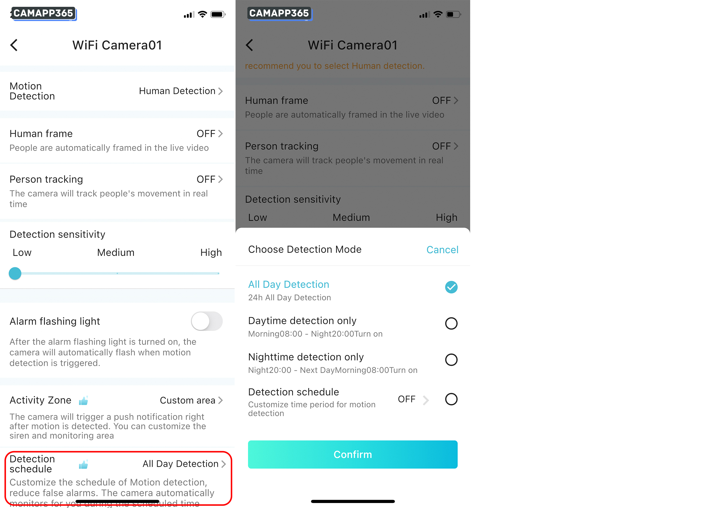 Detection schedule