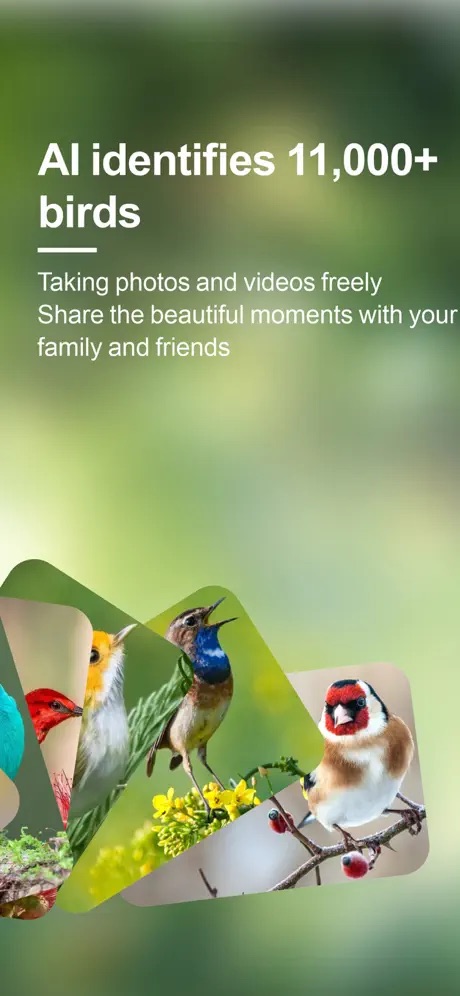 Bird lover app