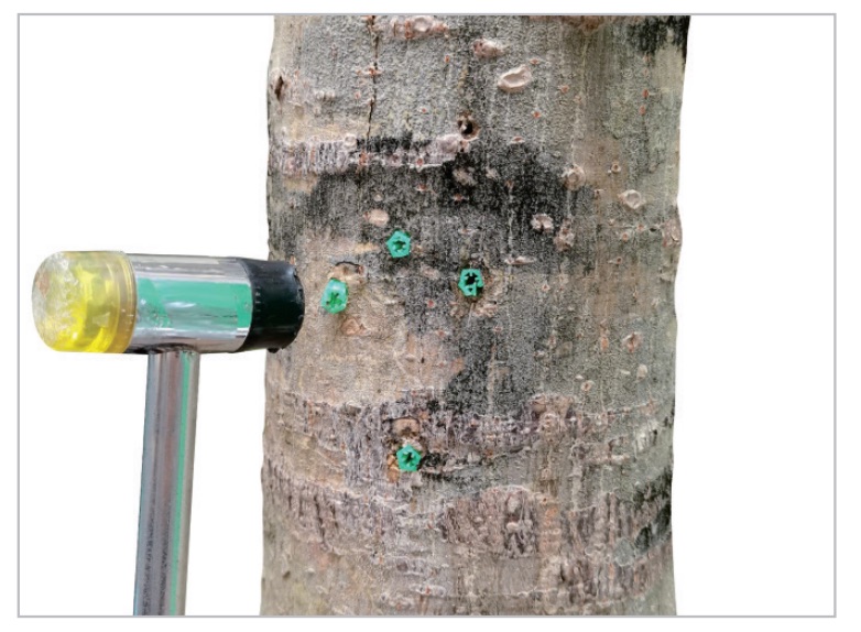 Install Bird Feeder Camera