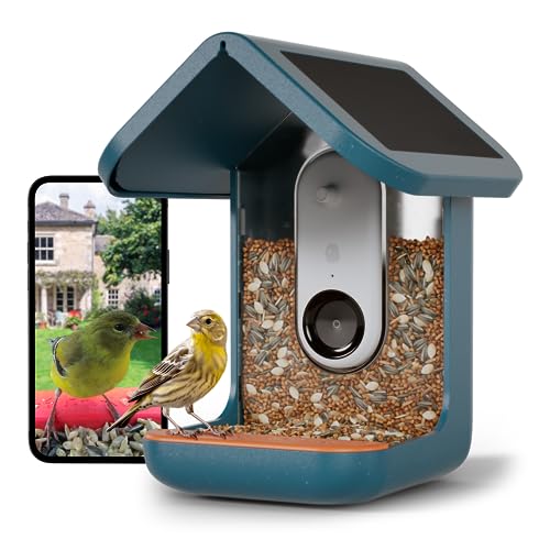 BIRD BUDDY® Original Smart Bird Feeder with Camera Solar Powered. High Resolution AI Bird Feeder Camera for Beautiful Close-up Shots and a Unique Bird Watching Experience